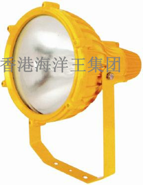 供应BTC8210 防爆投光灯